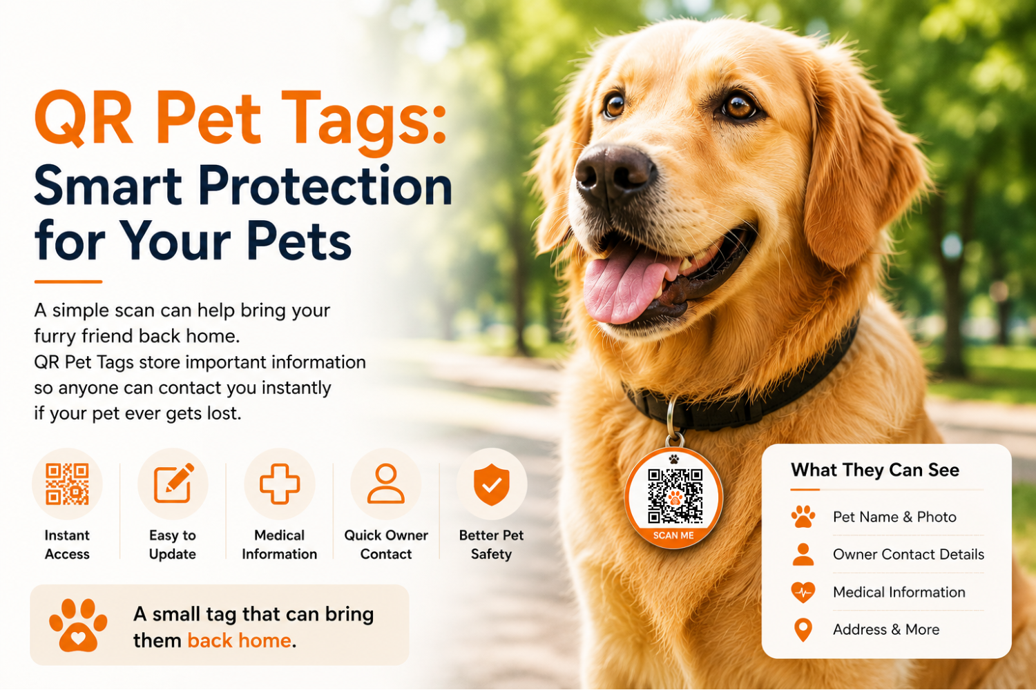 Why Pet Owners Are Choosing QR Pet Tags
